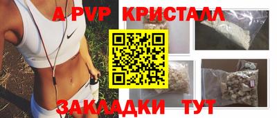 кокс Кингисепп