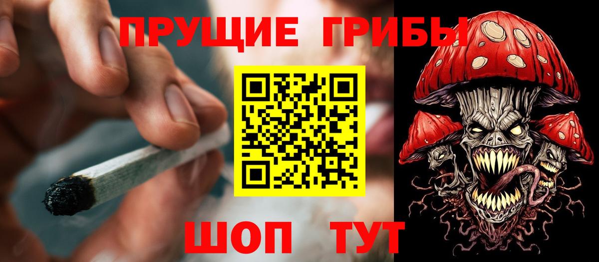 Галлюциногенные грибы Cubensis  Псилоцибиновые грибы GOLDEN TEACHER  Вход с VPN  Лениногорск 